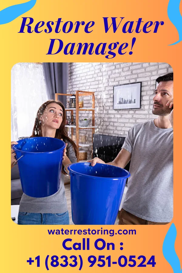 water restoration Horizon Flood Damage Partners Starrucca