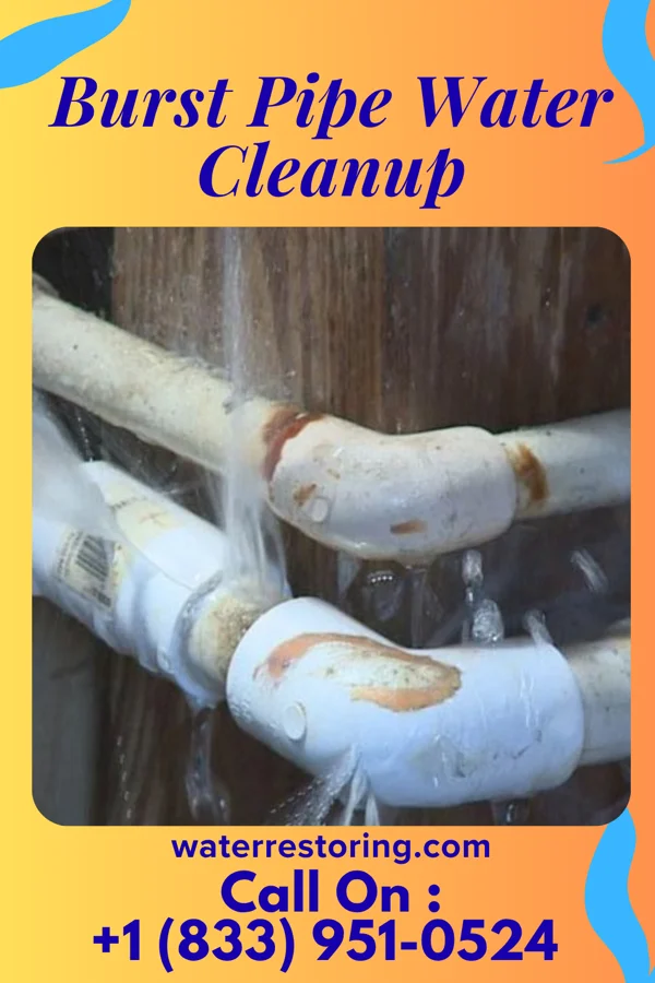 Burst Pipe Water Cleanup in Starrucca, PA