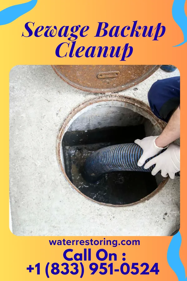 Sewage Backup Cleanup in Starrucca, PA