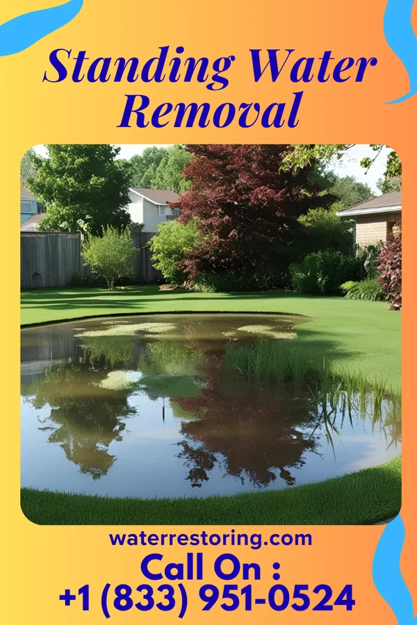 Standing Water Removal in Starrucca, PA